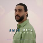 دانلود آهنگ امیر نیا برگرد